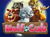 เกมสล็อต Wolf Cub